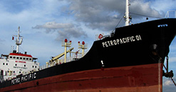 Services transport and storage of petroleum
